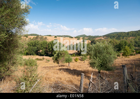 Viste della campagna andalusa da El Bosque town, Cadiz, Spagna Foto Stock