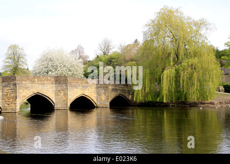 Bakewell il ponte medievale in aprile con il fiore e willow oltre il fiume Wye a Bakewell, Derbyshire, Inghilterra, Regno Unito. Foto Stock