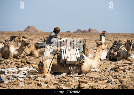Miniere di sale nel Lago Asale in Danakil depressione. Foto Stock