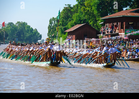 Gamba-barca a remi racing durante il Lago Inle Festival a Nyaung Shwe. Foto Stock