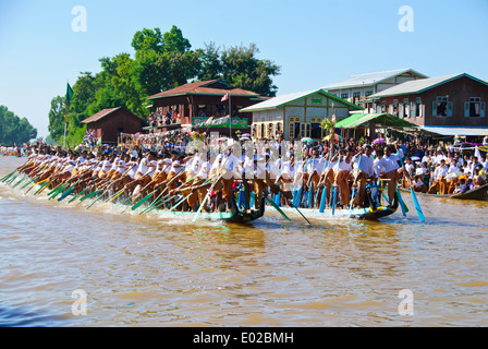 Gamba-barca a remi racing durante il Lago Inle Festival a Nyaung Shwe. Foto Stock