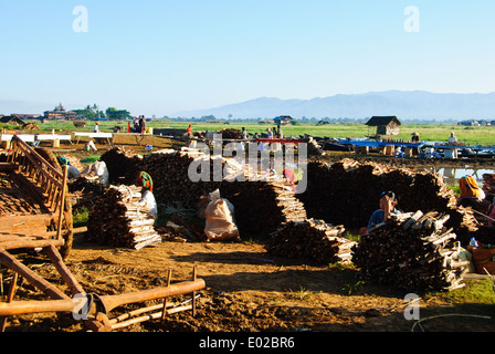Vendita di legna da ardere del mercato mattutino, Thaung Tho, Lago Inle Foto Stock