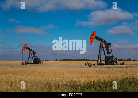 Un olio pompa di produzione jack nel gioco Bakken, olio di depositi di campo vicino a Stoughton, Saskatchewan, Canada. Foto Stock