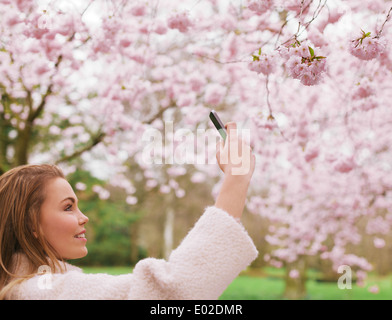 Attraente giovane donna a scattare foto di rosa fiori fioriscono a primavera sbocciano i fiori parco. Bella femmina caucasica la ripresa. Foto Stock