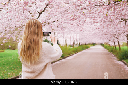 Vista posteriore di una giovane donna con il suo telefono cellulare per acquisire le immagini del percorso e fiori di ciliegio albero a parco. Foto Stock