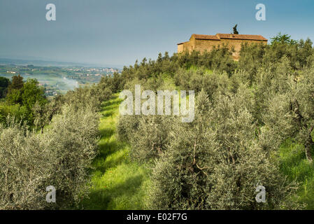 Casa natale di Leonardo da Vinci, Anchiano, Vinci, Toscana, Italia Foto Stock