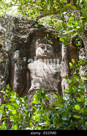 Rilievo di roccia, Buddha figura dietro il verde delle foglie, mano sollevata, protezione gesto, Buddismo Mahayana, Dowa tempio di roccia nelle vicinanze Foto Stock