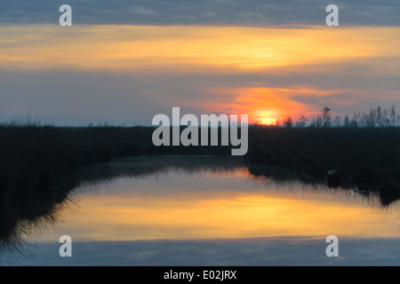 Goldenstedter moor, Bassa Sassonia, Bassa Sassonia, Germania Foto Stock