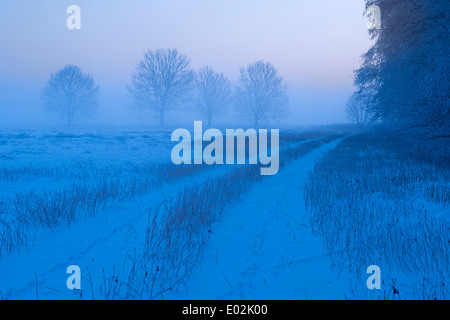 Paesaggio invernale, vechta distretto, Bassa Sassonia, Germania Foto Stock