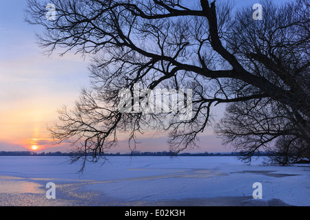 Tramonto sul lago di Dümmer, dümmerlohhausen, distretto di Diepholz, Bassa Sassonia, Germania Foto Stock