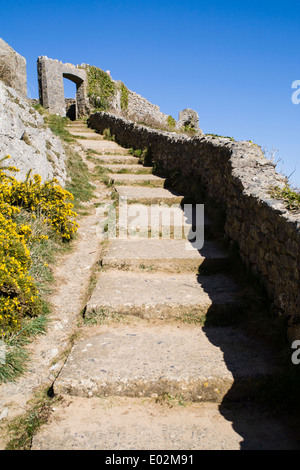 I passaggi che portano dal Barafundle Bay, Pembrokeshire, West Wales Foto Stock