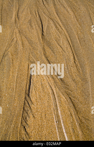 Modelli naturali nella sabbia, Pembrokeshire, West Wales Foto Stock