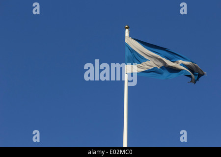 Un St Andrews bandiera della Croce a soffiare in un vento forte contro un cielo blu chiaro Foto Stock
