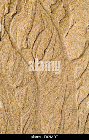 Modelli naturali nella sabbia, Pembrokeshire, West Wales Foto Stock