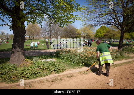 Lavoratore in Hyde Park con la zappa a briglia di erbaccia modo Foto Stock