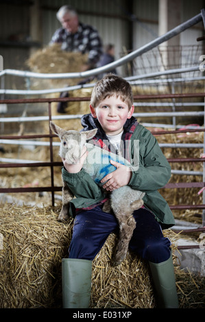 I bambini e i nuovi nati agnelli in una figliando capannone. Foto Stock