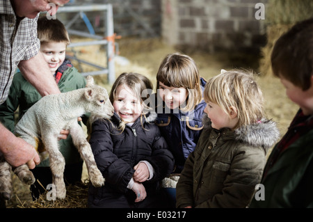 I bambini e i nuovi nati agnelli in una figliando capannone. Foto Stock