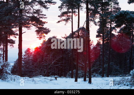 SURREY, Regno Unito set di Sole oltre il paesaggio innevato, Leith Hill. Foto Stock