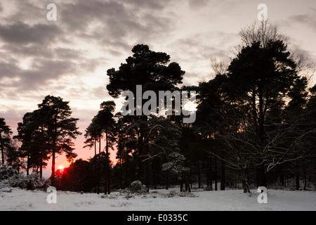 SURREY, Regno Unito set di Sole oltre il paesaggio innevato, Leith Hill. Foto Stock