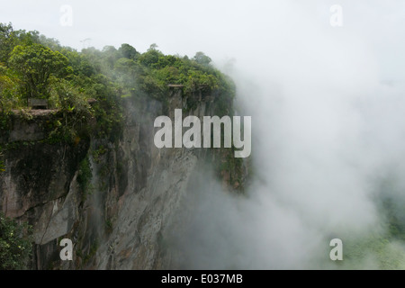 Montagna nella nebbia, Kaieteur Falls, Guyana Foto Stock