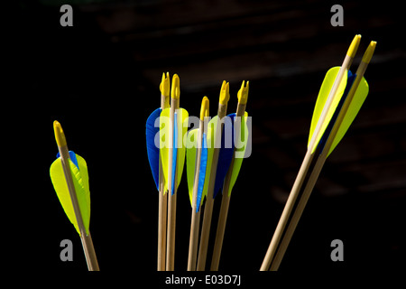 Mazzo di frecce di tiro con l'arco in UN fremito Foto Stock