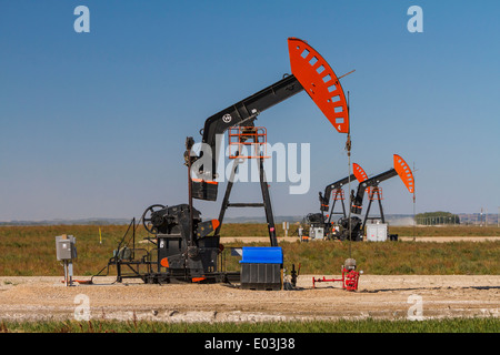Un olio pompa di produzione jack nel gioco Bakken, olio di depositi di campo vicino a Stoughton, Saskatchewan, Canada. Foto Stock
