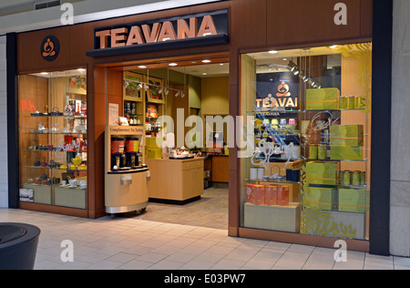 Negozio di tè al Queens Center indoor shopping mall in Elmhurst, Queens, a New York Foto Stock