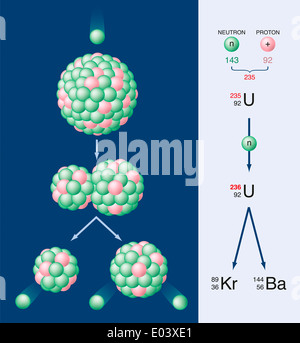 La fissione nucleare di uranio 235 Foto Stock