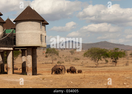 Elefanti a Sarova Salt Lick Game Lodge Taita Hills Kenya Foto Stock