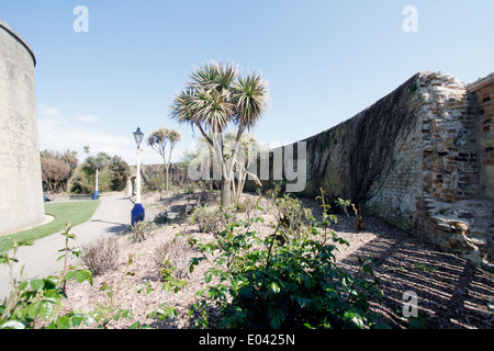 La difensiva parete esterna e il fossato Martello Tower numero 73 a Eastbourne noto come il desiderio di torre, uno dei quattordici torri costruite Foto Stock