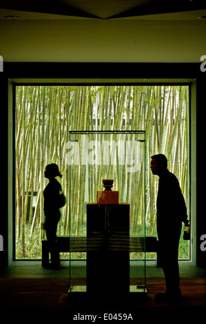 Persone presso il Museo di Suzhou Foto Stock