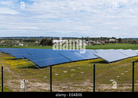 Diversi pannelli solari in un campo con erba verde Foto Stock