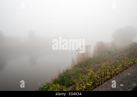 Lungo la riva è sotto una fitta nebbia la mattina del giorno Foto Stock