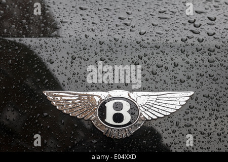 Close up di Bentley logo sul cofano del motore di un auto nera, coperto di gocce di pioggia Foto Stock