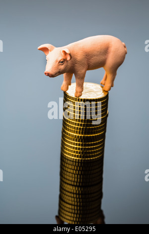 Un maiale sorge su una pila di monete. Aumento dei costi per i mangimi nell'agricoltura. Naufragio rese con la carne di maiale, Ein Schwein steht auf e Foto Stock