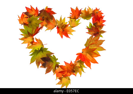 Il colored messaggeri dell'autunno. Fogli su sfondo bianco a forma di cuore. Foto simbolico per cari, Die bunten Boten des H Foto Stock