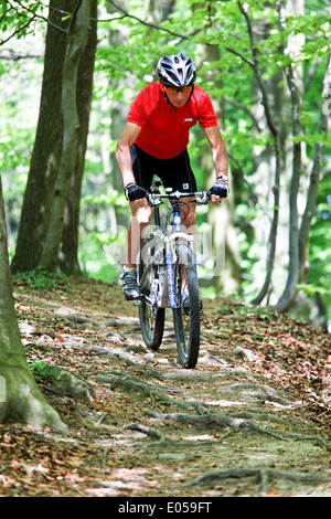 Il boss sportivo con mountain bike bicicletta in legno, Sportlicher Senior mit Mountain Bike Fahrrad im Wald Foto Stock