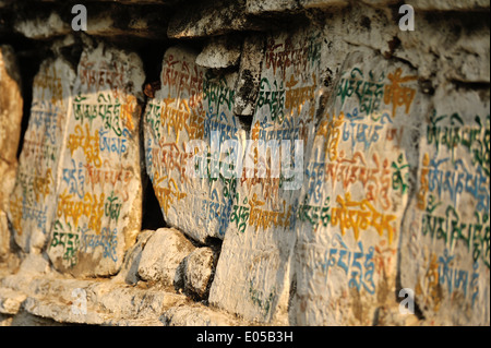 Mantra buddista scritta sulla superficie di una roccia, Est Bhutan Foto Stock