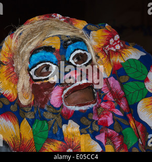 Sfilata di Carnevale a notte, Recife, Stato di Pernambuco, Brasile Foto Stock