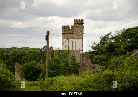 Castello di follia a Clent Hills, Worcestershire. Foto Stock