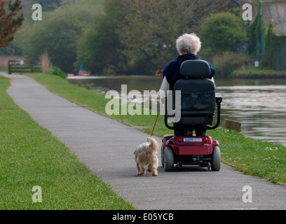 Vecchia donna su una mobilità scooter con piccolo cane andando lungo la strada alzaia, Bude Canal, Cornwall, Regno Unito Foto Stock