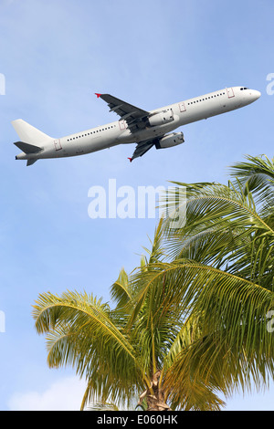 Un aereo che viaggia tra alberi di palma in vacanza durante una vacanza Foto Stock