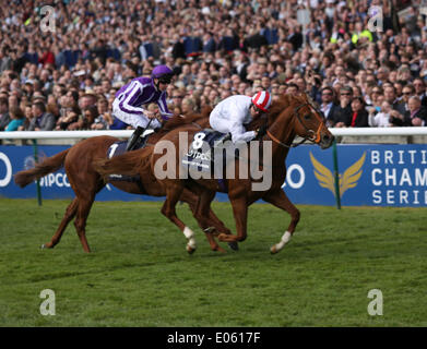 Newmarket, Regno Unito. 03 Maggio, 2014. Notte di tuono sotto Kieren Fallon vince il Qipco 2000 Guinea durante il 2014 Guinea Festival da Newmarket. Credito: Azione Sport Plus/Alamy Live News Foto Stock