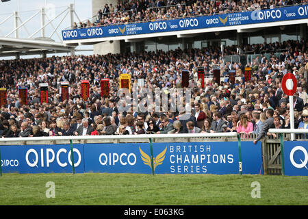 Newmarket, Regno Unito. 03 Maggio, 2014. La folla durante il 2014 Guinea Festival da Newmarket. Credito: Azione Sport Plus/Alamy Live News Foto Stock