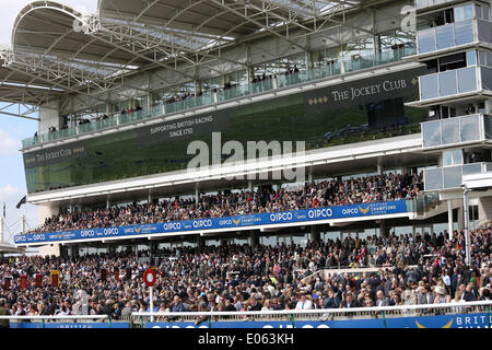 Newmarket, Regno Unito. 03 Maggio, 2014. La folla in tribuna Millenium durante il 2014 Guinea Festival da Newmarket. Credito: Azione Sport Plus/Alamy Live News Foto Stock