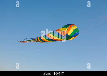 Kite in aria Foto Stock