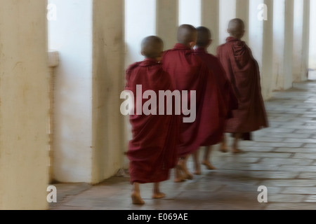 Giovani monaci holding alms wok, Bagan, Myanmar Foto Stock