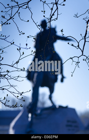 Un monumento di Pietro Grande, silhouette contro il ramo di primavera. San Pietroburgo, Russia Foto Stock