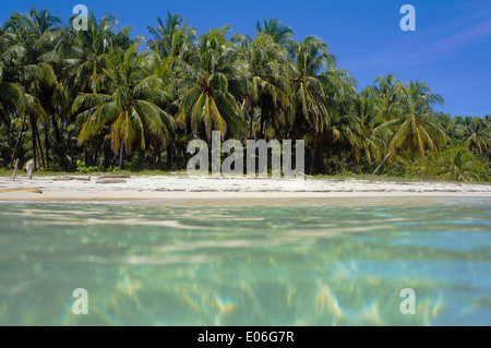 Incontaminata spiaggia tropicale con palme di cocco visto dalla superficie del mare dei Caraibi, Panama Foto Stock