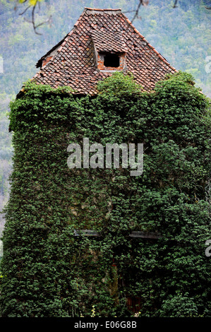 Abbandonato il vecchio tower house con ricoperta di edera Foto Stock